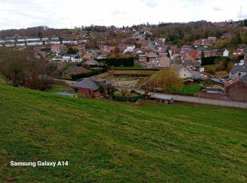 Randonnée Marche Flémalle - awirs reco 02 24 - Photo