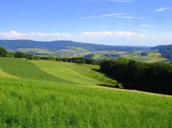 Tocht Te voet Lengnau - Mühlibach - Althau - Photo