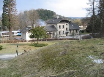 Trail On foot Pinggau - Tauchen - Baumgarten - Koglreith - Hofgraben - Photo