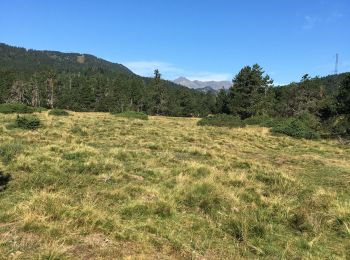 Excursión Senderismo Bolquère - Pla de Barrès - Photo