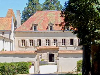 Tour Wandern Condat-lès-Montboissier - Condat_Liberty_2 - Photo