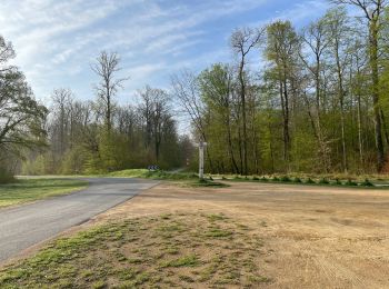 Randonnée Marche Lacroix-Saint-Ouen - en Forêt de Compiègne_49_les Molineaux_le Chemin et la Route de Béthisy - Photo