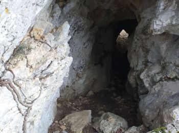 Tocht Stappen Beure - Beure de la pisseur au mercureau  - Photo