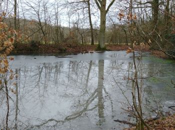 Randonnée Marche Alizay - Rando  Pierre Alizay du 15 février 2021 - Photo