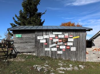 Randonnée A pied Gemeinde Hohenberg - Wanderweg 31 - Photo