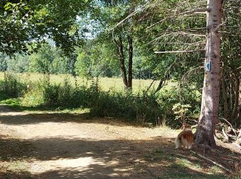 Randonnée Marche Arlon - Clairefontaine - Photo