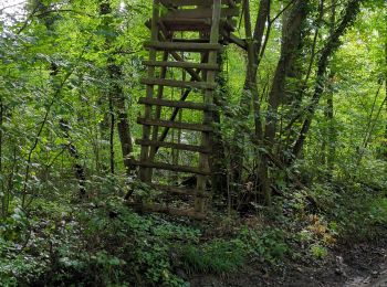 Tocht Stappen Dorlisheim - rando Dorlisheim 2 - Photo