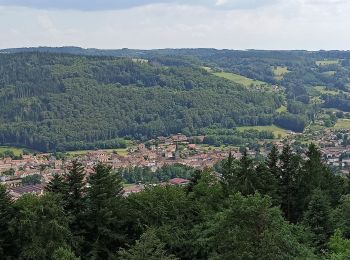 Randonnée Marche Le Val-d'Ajol - 10-06-23 Val d'Ajol, Feuillée Dorothée, Feuillée Nouvelle - Photo