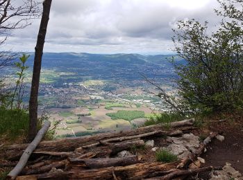 Percorso Marcia Montaud - La Dent de Moirans - Photo