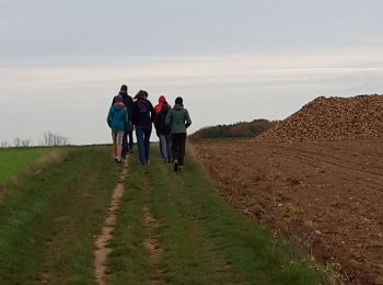 Trail Walking Chaumont-Gistoux - balade famille - Photo
