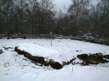 Percorso A piedi Sconosciuto - Costești - Vf. Porumbelu Mare - Vf. Godeanu - Photo