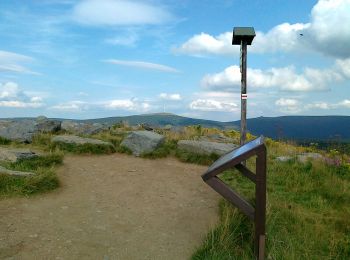 Tour Zu Fuß Wermsdorf - Lesní ekostezka Švagrov - Photo