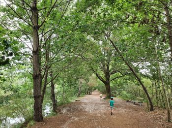 Tocht Hybride fiets Biscarrosse - Biscarrosse - Entre les lacs - Photo