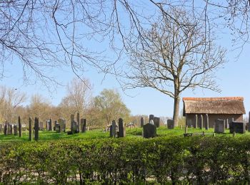 Tour Zu Fuß Staphorst - WNW IJsseldelta -De Olde Maten - paarse route - Photo