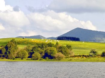 Randonnée Marche Pulvérières - Pulverieres_Etang_Grand - Photo