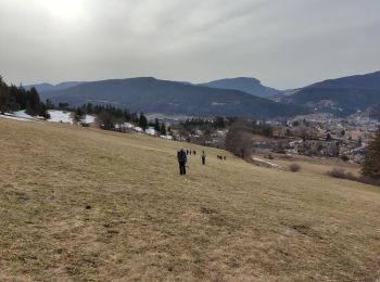 Tour Schneeschuhwandern Villard-de-Lans - Vallon de la Fauge - Photo