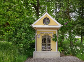 Randonnée A pied Bad Wimsbach-Neydharting - Ins Land eini schaun - Photo