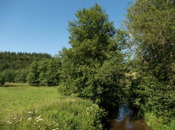 Tour Wandern Tenneville - Wyompont - Promenade de la chaussée romaine (17) - Photo