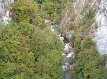 Excursión Bici de carretera Grésy-sur-Aix - Semnoz  - Photo