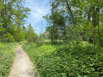 Trail Walking Tubize - Oisquercq 15 km test gps - Photo