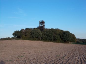 Trail On foot Sonsbeck - Sonsbeck Rundweg A2 - Photo