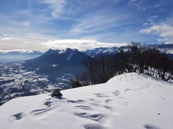 Randonnée Raquettes à neige Château-Bernard - Les Crêtes de La Ferrière - Photo