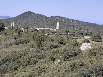 Excursión Senderismo Tarascon - FRIGOLET Gratte Semelle - Photo