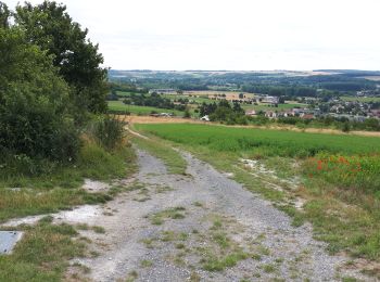 Percorso Marcia Eaucourt-sur-Somme - le moulin d'Eaucourt  - Photo