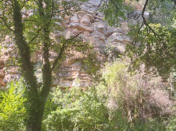 Randonnée Marche Novéant-sur-Moselle - Gorze - Rochers de la Fraze - Photo