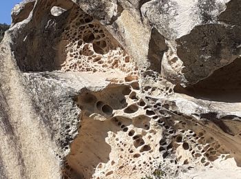 Tour Wandern Évenos - Grès de Ste Anne d'Evenos - Photo