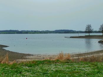 Randonnée Marche Froidchapelle - Balade au Lac de la Plate Taille - Photo