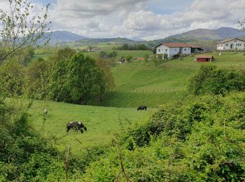 Randonnée Marche Ayherre - Ayherre 1 - Photo