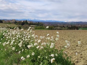 Trail Walking Lasserre-de-Prouille - Lasserre de prouilhe 17 kms - Photo