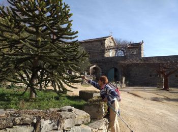 Tour Wandern Saint-Julien-les-Rosiers - source de Carabiole - Photo