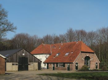 Tour Zu Fuß Brummen - rode wandelroute Voorstonden 7 km - Photo