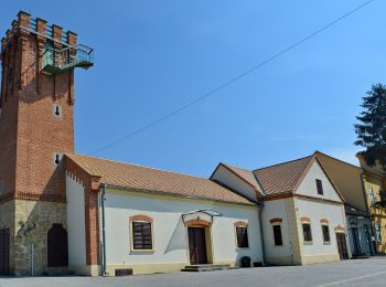 Randonnée A pied Zagreb - Planinarska staza Medvednica 9 - Photo