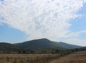 Tocht Te voet Grosseto - A1 San Rabano e Torre Uccellina - Photo