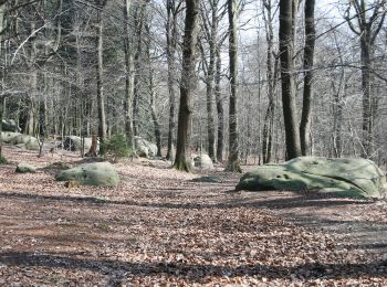 Randonnée A pied Raeren - Rotes Kreuz - Photo