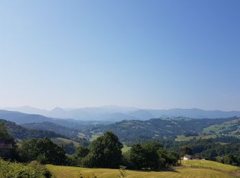 Trail Bicycle tourism Oloron-Sainte-Marie - Oloron - St-Palais - Photo