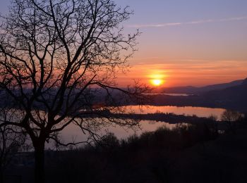 Percorso A piedi Galbiate - Sentiero di mezzo 301a: Galbiate - Pian Sciresa - Photo