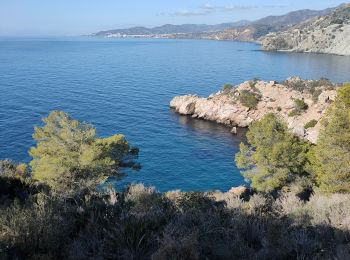 Percorso Marcia Nerja - Montes Cerro Caleta - Photo