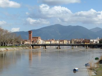 Randonnée A pied Pise - Sentiero dei Navicelli - Photo