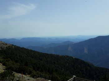 Trail Walking Val-d'Aigoual - 4000 marches AR - Photo