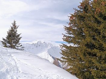 Randonnée Ski de randonnée Valmeinier - Plan Palais Ski - Photo