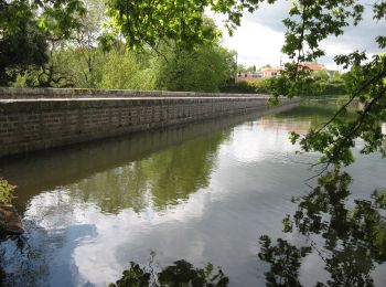 Tour Zu Fuß Joué-sur-Erdre - Lac de Vioreau - Photo