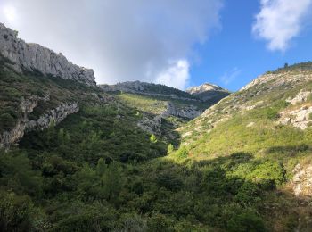 Tour Wandern Roquevaire - Le Garlaban - Photo