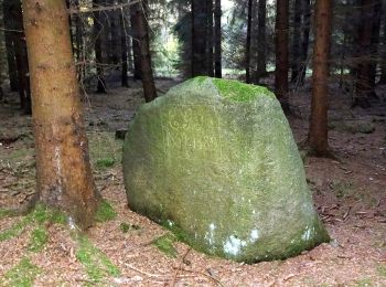 Randonnée A pied Arnsdorf - Grüner Punkt, Arnsdorf - Karswald - Photo