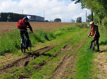 Tocht Mountainbike Ger - balisage 14 20249 - Photo