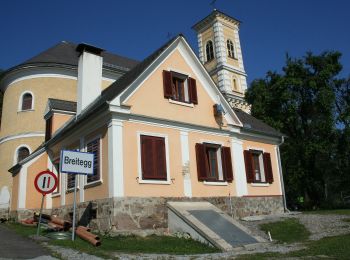 Excursión A pie Sankt Ruprecht an der Raab - Wanderweg Breiteggerweg - Photo