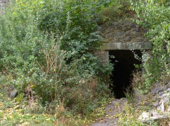 Randonnée A pied Černošín - [Ž] Pod Třebelí - Volfštejn - Černošín - Krasíkov - Photo